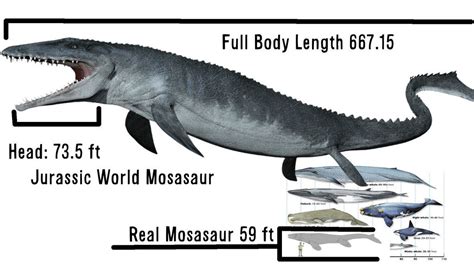 mosasaurus größe